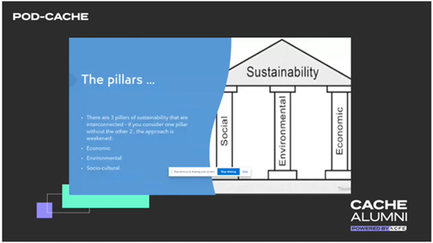 Slide showing the 3 pillars of sustainability graphic